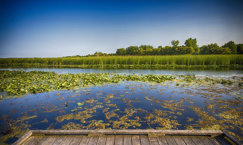 Conducting Environmental Due Diligence in New Jersey: Is Obtaining both a Phase I and a Preliminary Assessment Necessary?